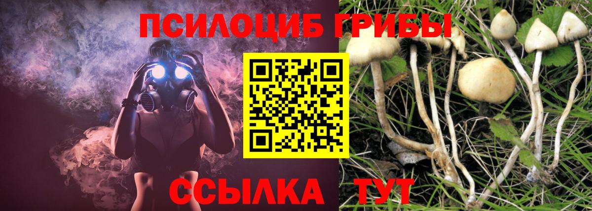 Псилоцибиновые грибы прущие грибы Старая Купавна